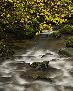 美丽的秋季景观,流动的河流瀑布湖区图片