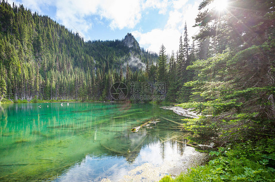 宁静的湖泊夏季的山区美丽的自然景观图片