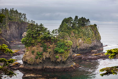 风景优美,严谨的太平洋海岸奥林匹克国家公园,华盛顿,美国海洋中的岩石海滩上的大原木图片