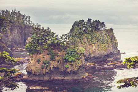 风景优美,严谨的太平洋海岸奥林匹克国家公园,华盛顿,美国海洋中的岩石海滩上的大原木图片