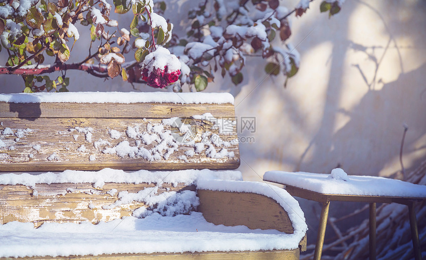 冬天花园里的长凳上飘着堆雪图片