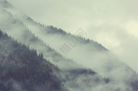 山中美丽的早晨景色日出时有雾图片