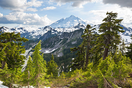 夏季贝克山休闲区图片