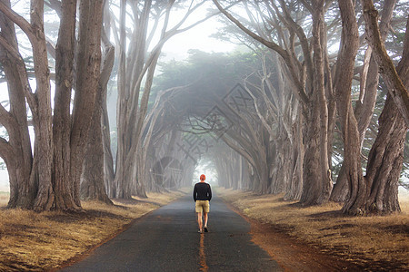 绿树隧道自然背景图片