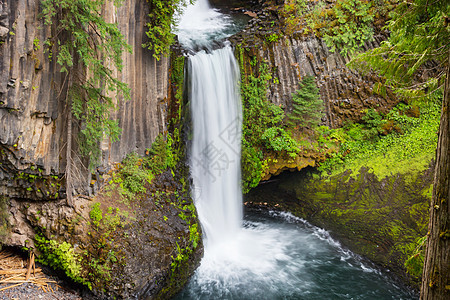 美丽的瀑布绿色森林,俄勒冈州,美国图片