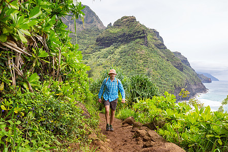 徒步旅行者绿色丛林,夏威夷,美国图片