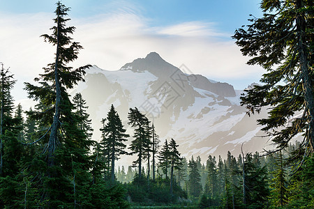 美国华盛顿美丽的山树山上寻找的人图片