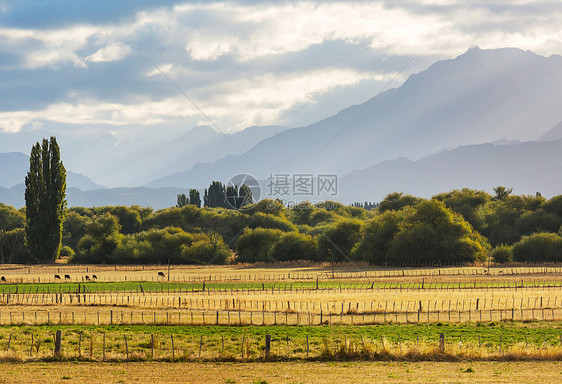 阿根廷山脉的乡村景观图片