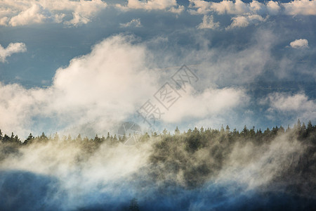 高山上的雾美丽的自然景观图片