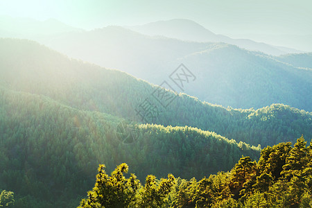 阿拉斯加山区的夏季青山图片