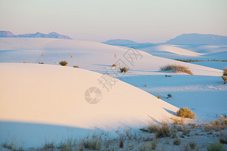 美国新墨西哥州的白色沙丘图片