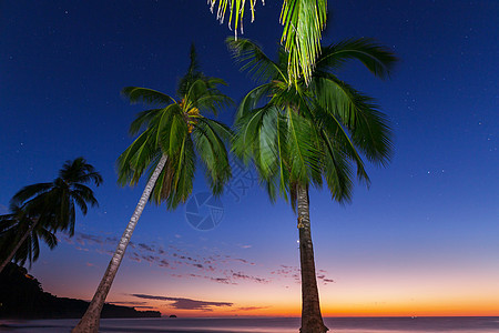 美丽的幻想热带海滩黑暗中图片
