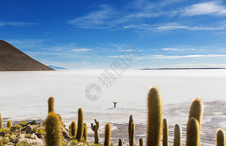 大仙人掌印加瓦西岛,盐平萨拉德尤尼,高原,玻利维亚寻常的自然景观废弃太阳能旅行南美洲图片