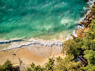美丽的海滩与棕榈树空中俯视无人机拍摄塞舌尔,马埃图片