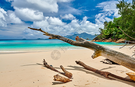 美丽的海滩塞舌尔,马埃图片