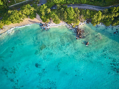 美丽的海滩与棕榈树岩石空中俯视无人机拍摄塞舌尔,马埃图片