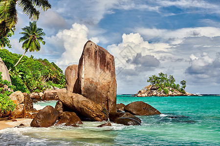 美丽的海滩,棕榈树岩石景观塞舌尔,马埃图片