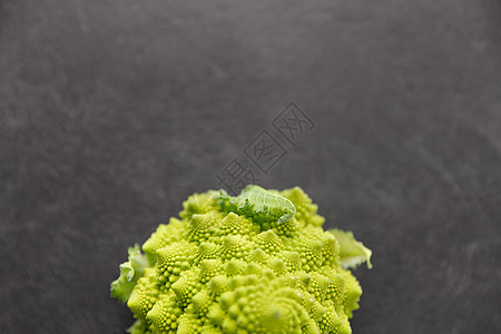 蔬菜,食物烹饪石板石背景上的罗曼斯科西兰花的特写石板石上罗曼斯科西兰花图片