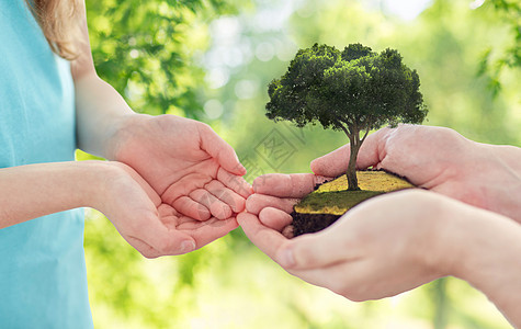生态,家庭环境亲密的父亲女孩的手牵着树绿色的自然背景靠近父亲女孩的手牵着树图片