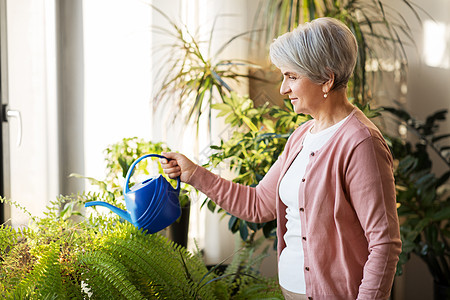 人,家务植物护理老年妇女家浇水高级妇女家浇水图片