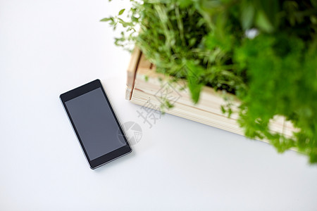 园艺,植物有机智能手机与草药花木箱桌子上智能手机,盒子里有草药鲜花图片