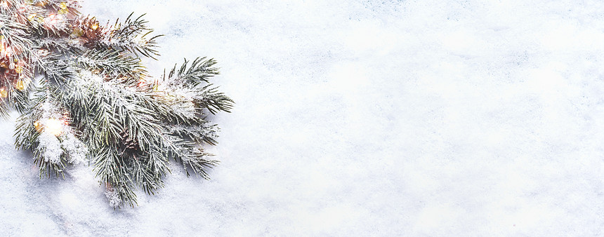 冬天圣诞节的雪背景杉木的树枝上覆盖着雪上面的风景博克横幅高清图片下载 正版图片 摄图网 冬天圣诞节的雪背景杉木的树枝上覆盖着雪上面的风景博克横幅高清图片下载 正版图片 摄图网