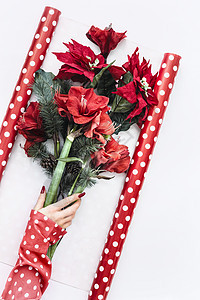 女手穿着波尔卡圆点上衣,手里着圣诞束,上面有红色的品红紫红色的花,白色包装纸上有冷杉的深色头发上面的风景圣诞花卉背景图片