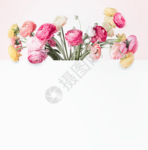 创意花卉可爱的彩束布局与白色框架背景为您的柔的颜色贺卡图片