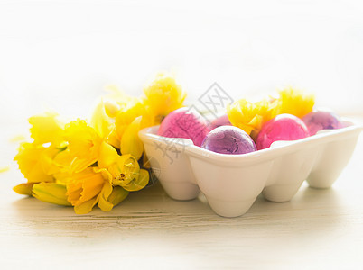 复活节鸡蛋与黄色水仙花白色背景图片