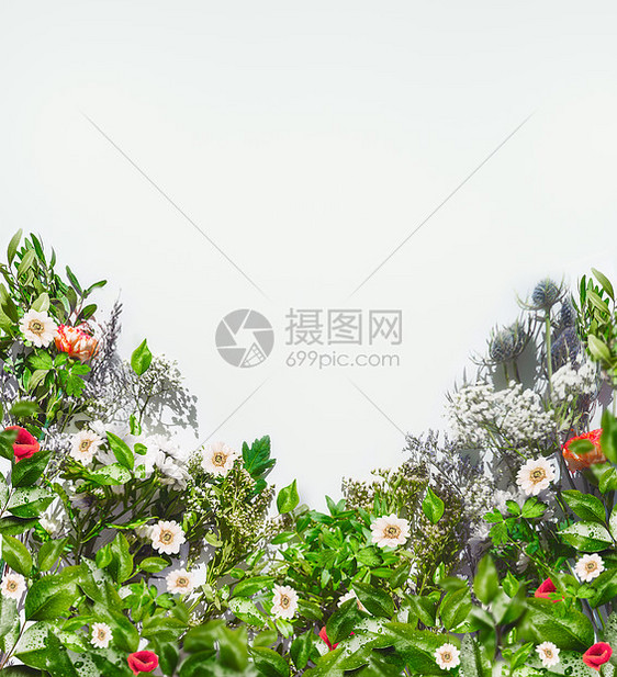 各种夏季花卉阳光下白色背景,顶部景观框架花边平躺图片