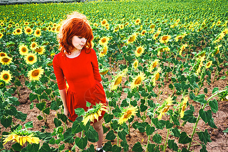 可爱的红头发女人向日葵的田野里享受这天背景
