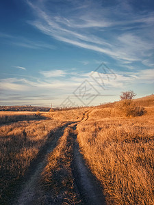 垂直拍摄,深秋的场景与条土路穿过片干涸的草地田园乡村景观,秋天的心情,乡村小径穿过干草草地,宁静的景色背景图片