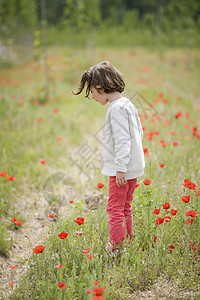 可爱的小女孩,四岁,田里玩得很开心图片