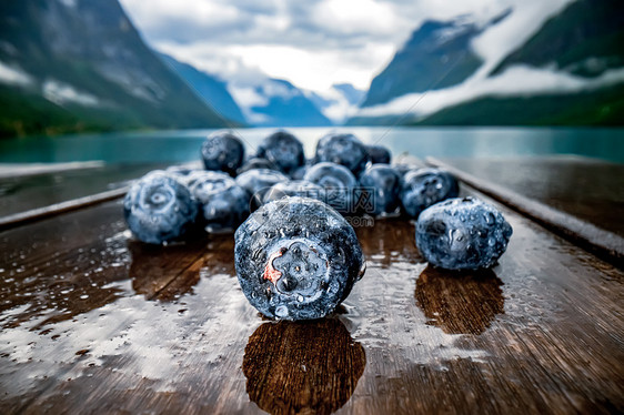 挪威自然背景下木桌上的蓝莓抗氧化剂图片