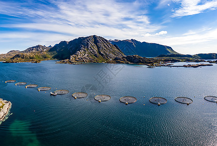 挪威农场鲑鱼捕鱼挪威世界上最大的养殖鲑鱼生产国,每年生产超过100万吨图片
