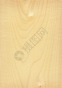 天然木制纹理背景枫木图片