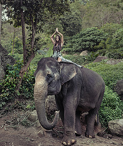 骑这只自由的大象上的漂亮模特高清图片