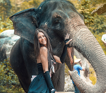漂亮的,黑发的大象教练她的宠物图片