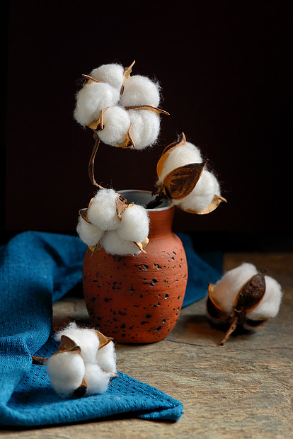石桌上的棉花树枝花瓶