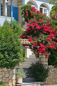 希腊莱夫卡达的避暑别墅图片