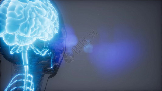 科学解剖扫描人脑图片