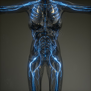人类神经系统放射学检查图片