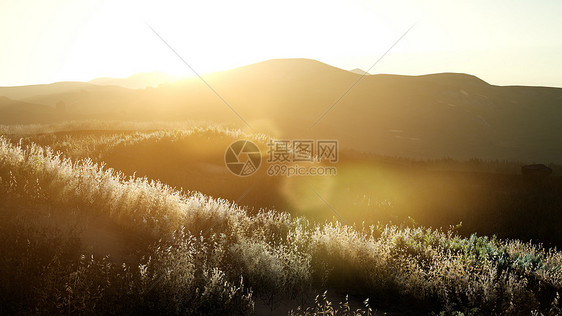 日落山丘附近的山谷田野上日落山谷的田野上图片