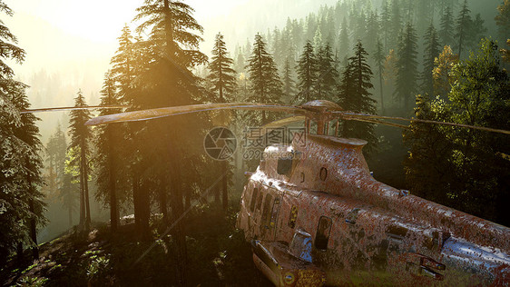 日出时山林中老旧生锈的直升机图片