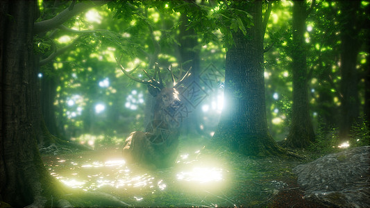 夏天,大红鹿森林里雄鹿绿色森林里的大红鹿图片