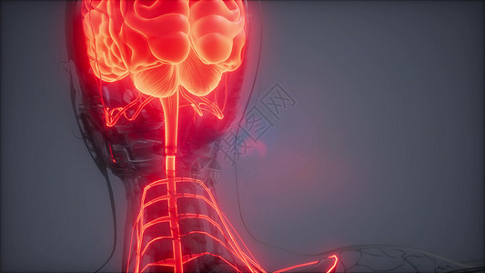 人脑发光的科学解剖扫描人脑放射学检查图片