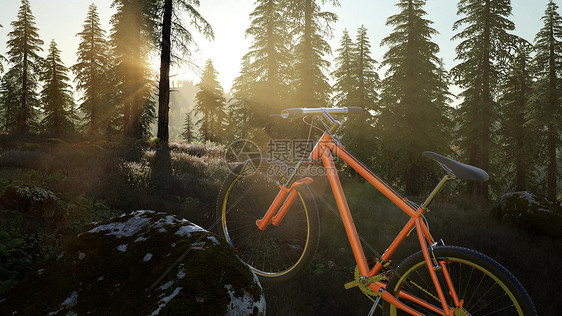 日落时山林里骑自行车图片