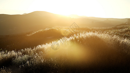 日落山丘附近的山谷田野上日落山谷的田野上图片