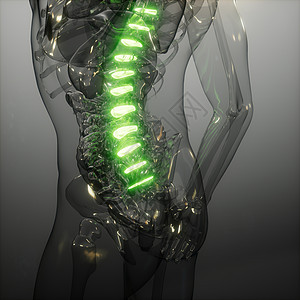 脊骨背痛人体脊柱骨骼发光的科学解剖扫描背部骨头背痛图片