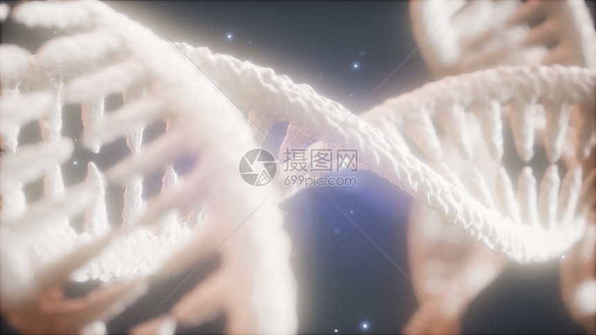 双螺旋结构的DNA链特写动画高清图片下载-正版图片300025741-摄图网